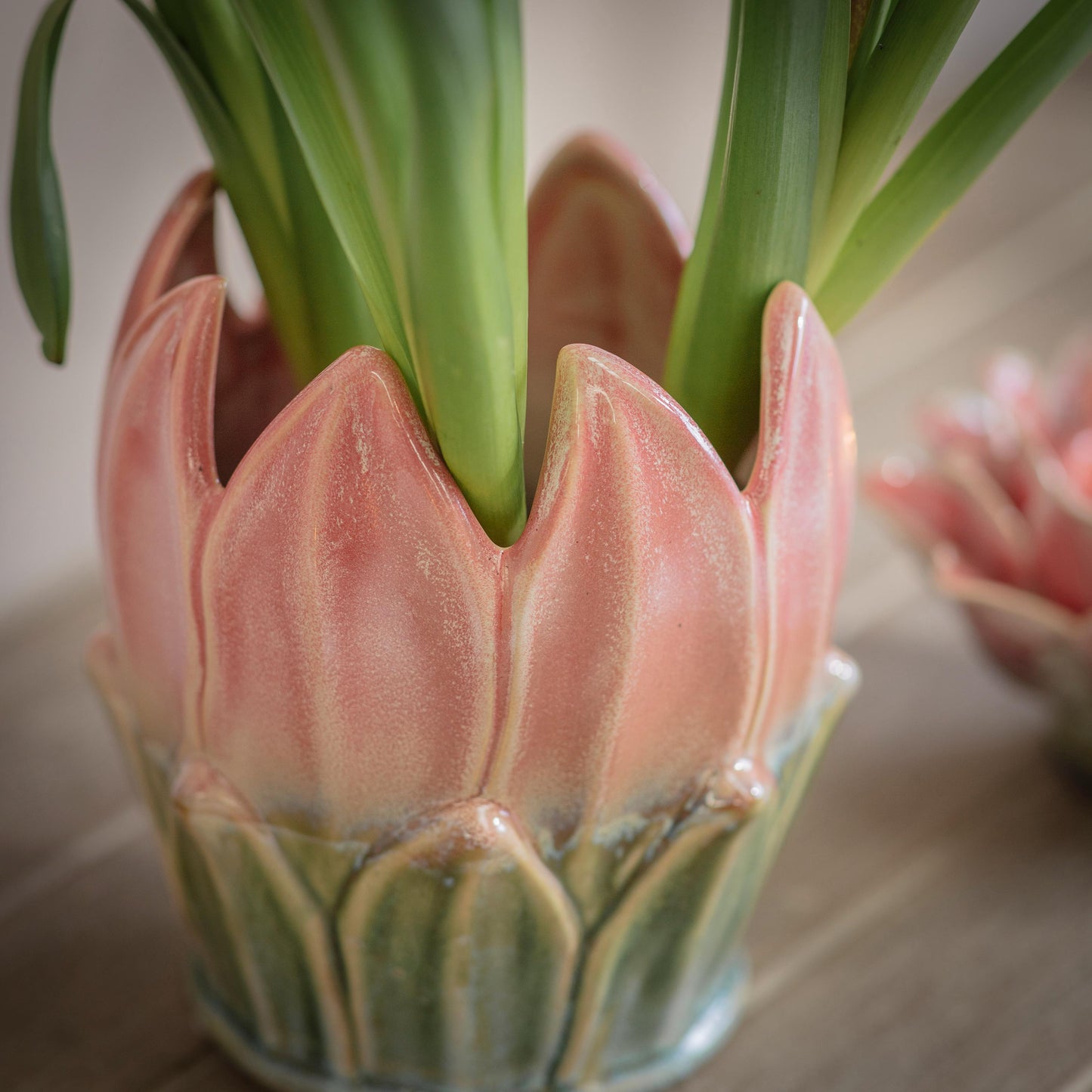 Tresco Protea Vase