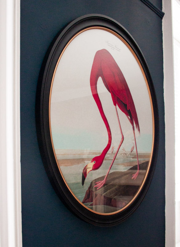 Audubon American Flamingo – Round Framed Print (120 x 120cm)