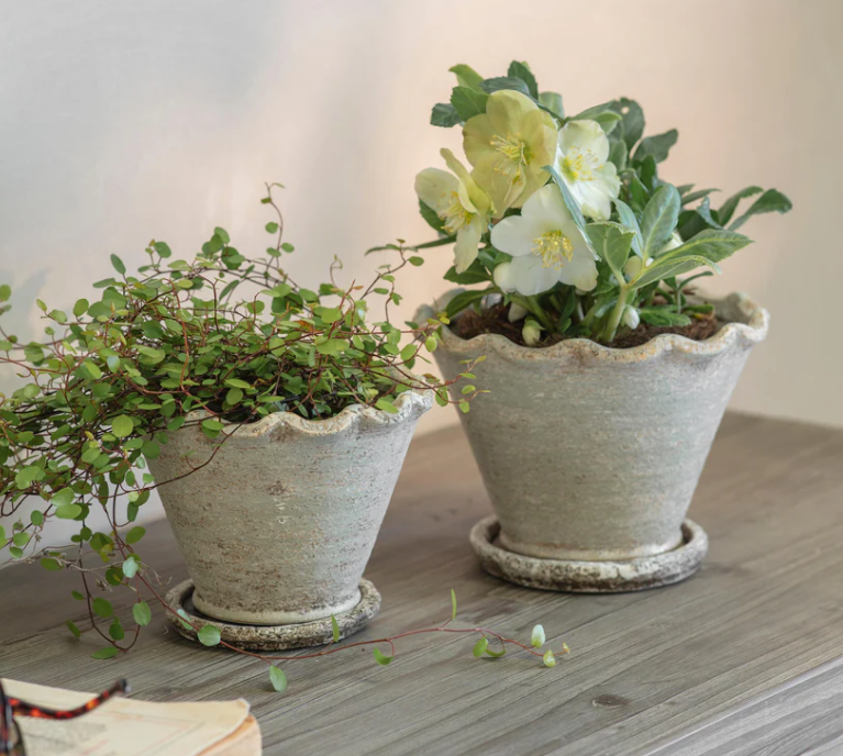 Carden Planter - Small