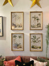 Set of Four Palm Tree Prints