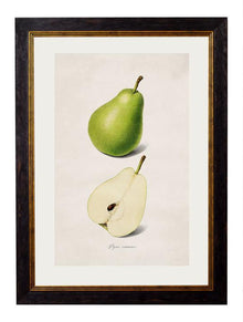  Framed Print - Pear