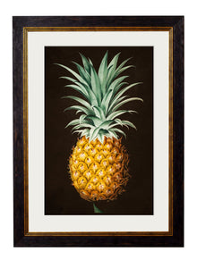  Framed Print - Pineapple Study
