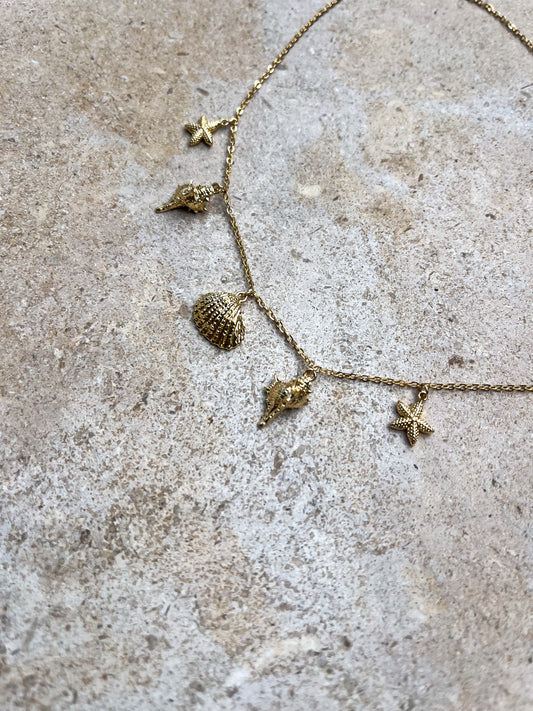 Shell gold charm necklace
