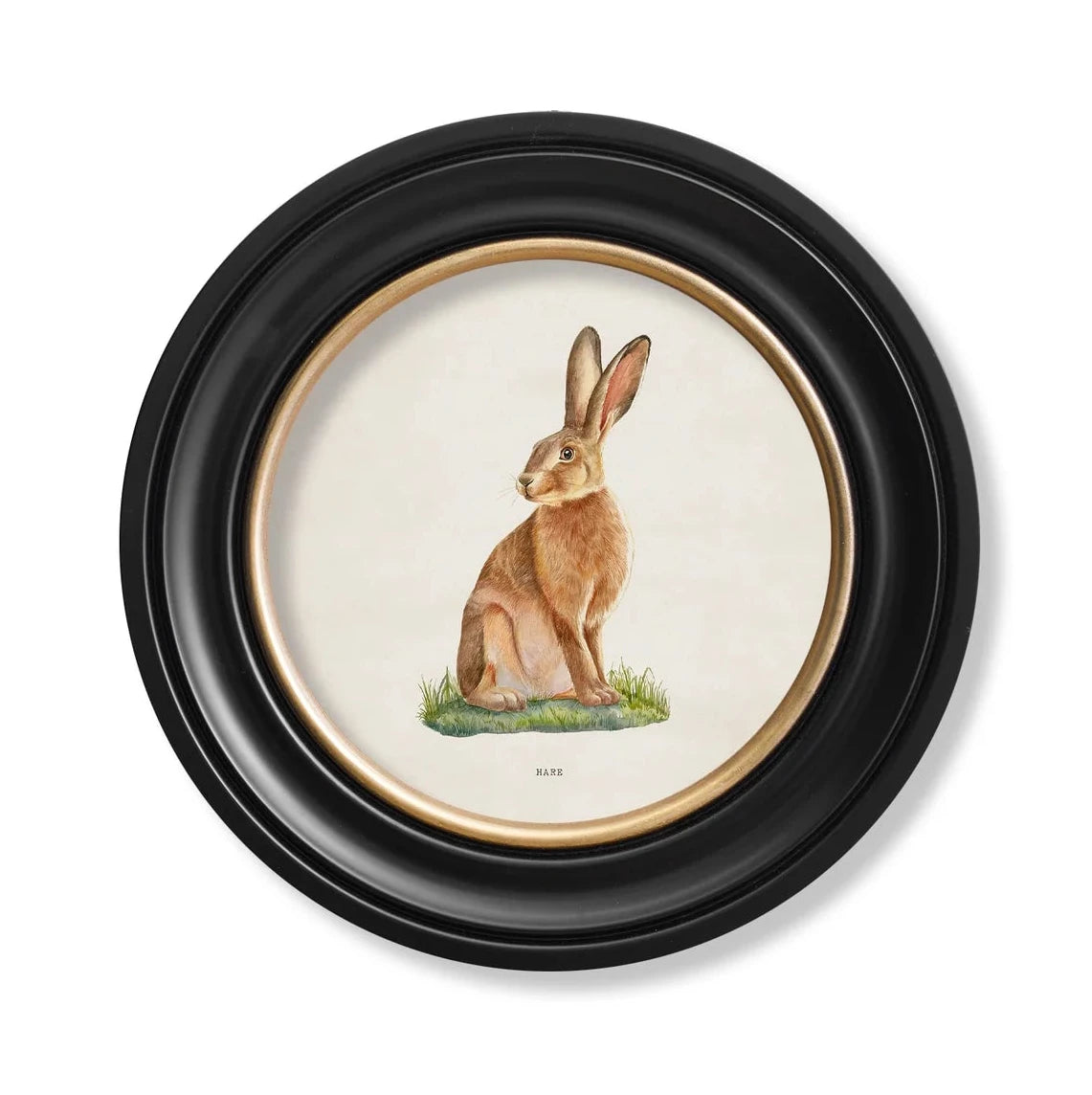 Round Framed Hare Print – 44 x 44cm