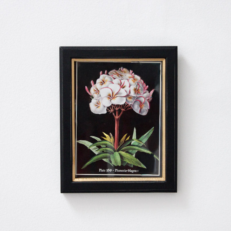 Framed Passion Print Small - Set of 3