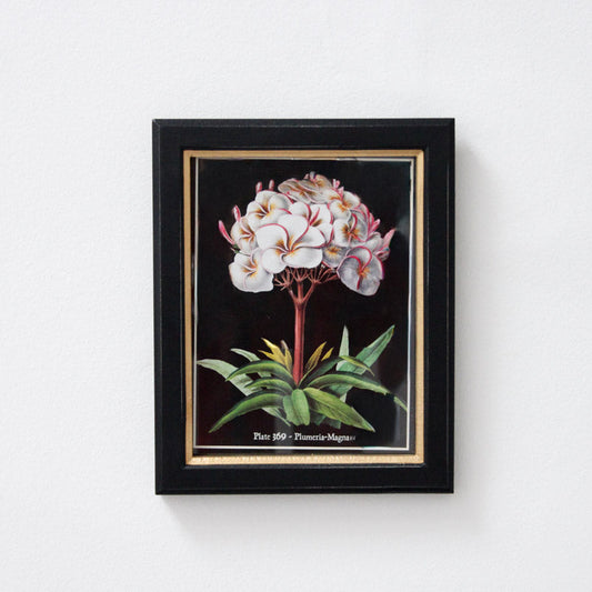 Framed Passion Print - Small