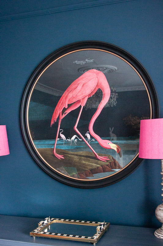 Audubon American Flamingo (Dark) – Round Framed Print (120 x 120cm)