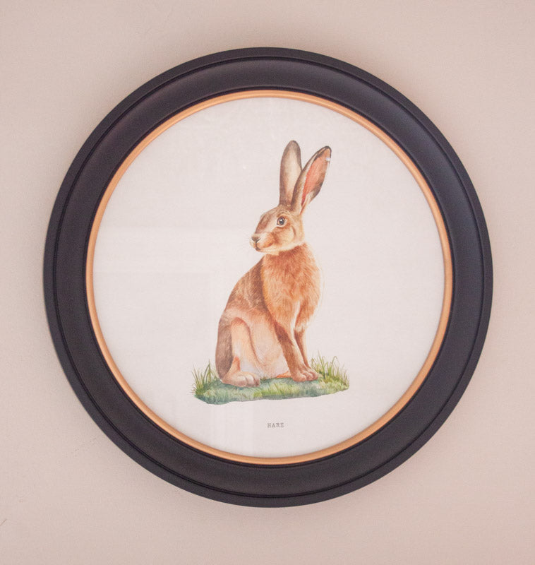 Round Framed Hare Print – 44 x 44cm