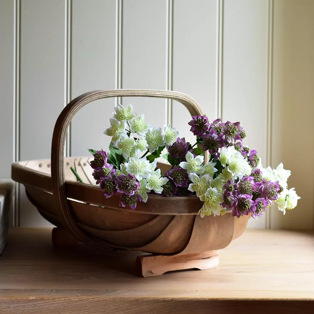Astrantia Spray Stem - Soft Purple