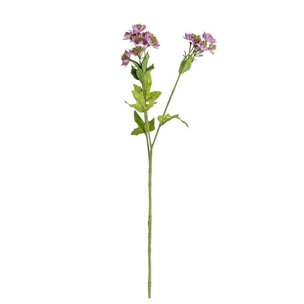 Astrantia Spray Stem - Soft Purple