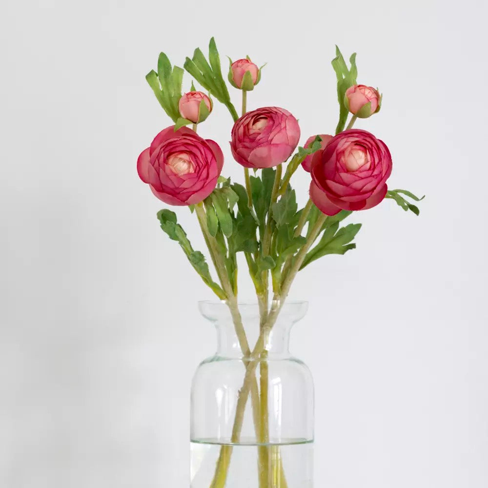 Ranunculus Stem - Pink