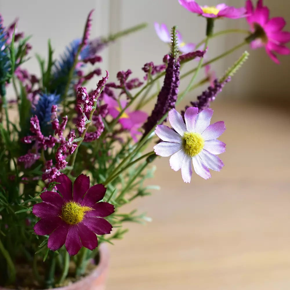 Wildflowers in Pot Pink