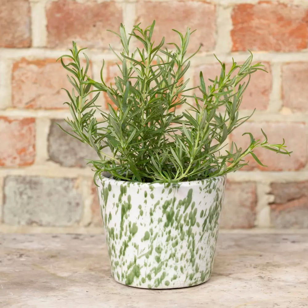 Green Splatter Planter