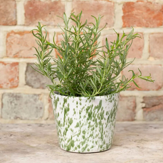 Green Splatter Planter