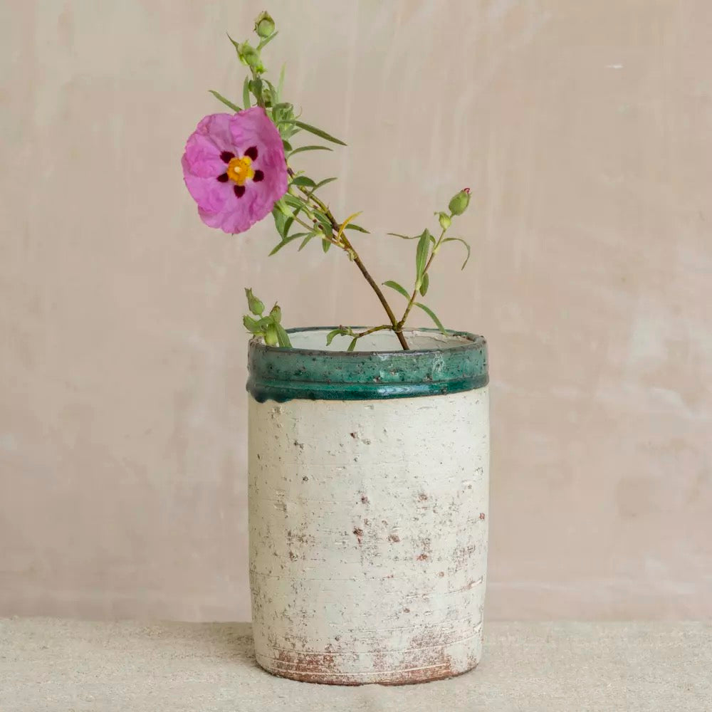 Terracotta Pot with Green Rim