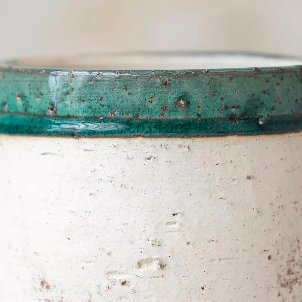 Terracotta Pot with Green Rim