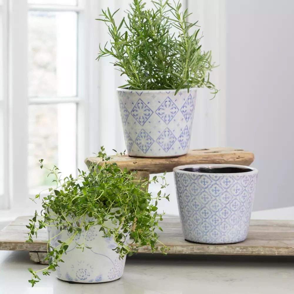 Old Style Dutch Pot - Powder Blue