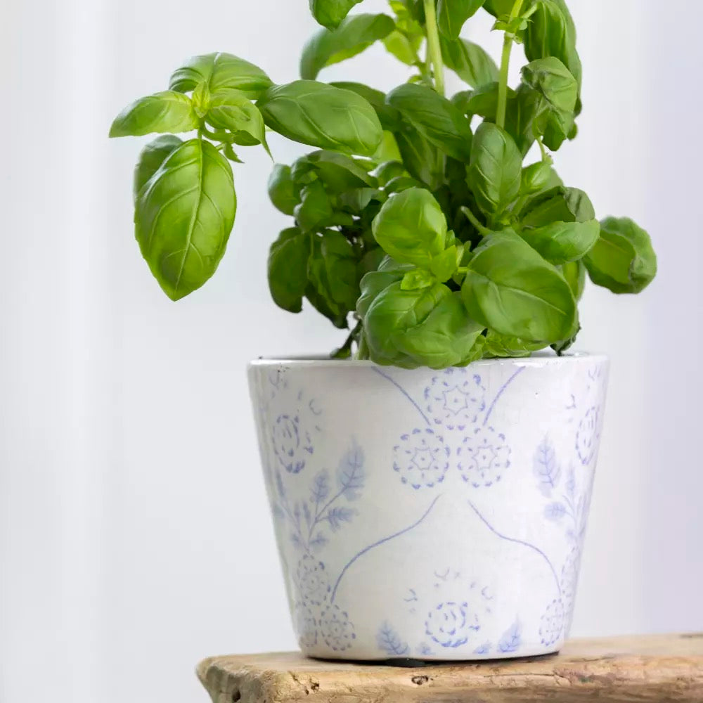 Old Style Dutch Pot - Powder Blue