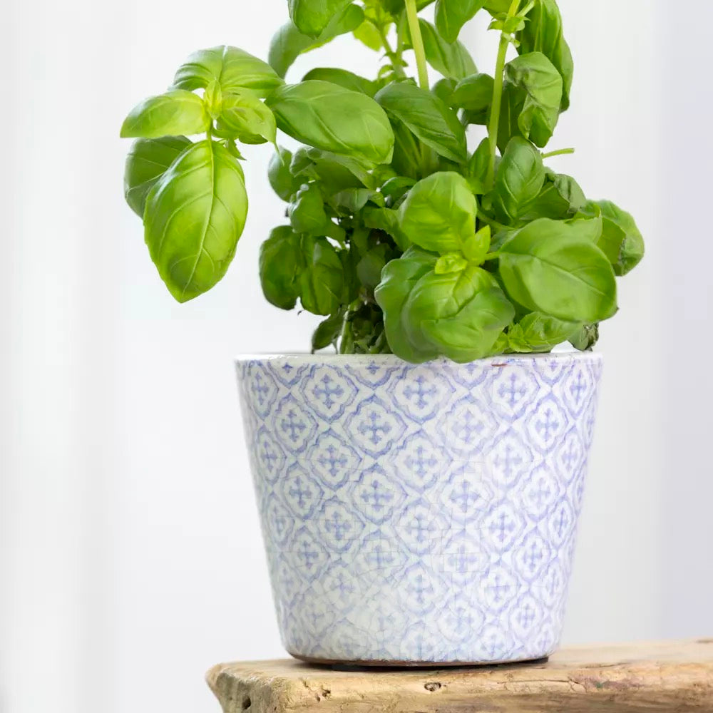 Old Style Dutch Pot - Powder Blue