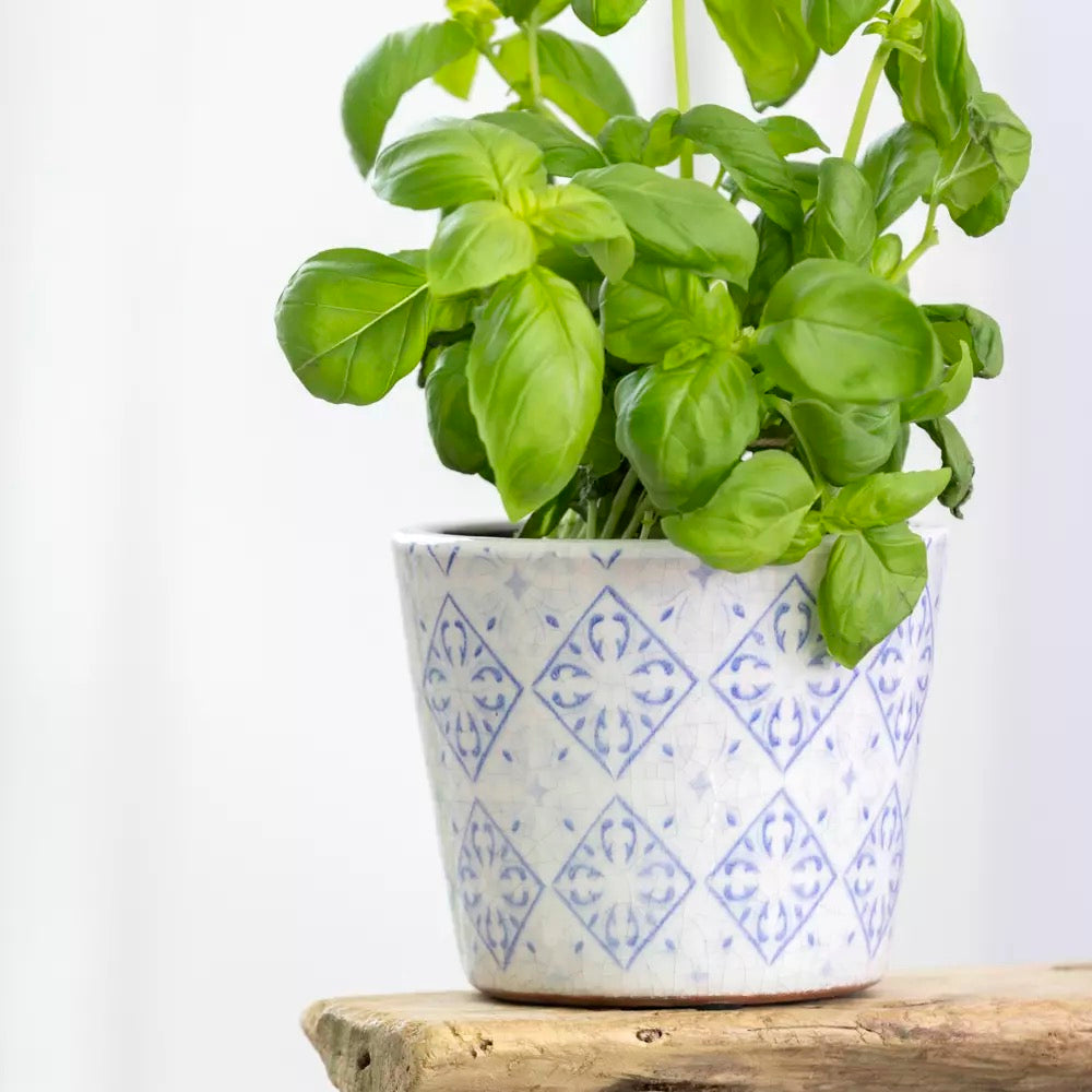 Old Style Dutch Pot - Powder Blue
