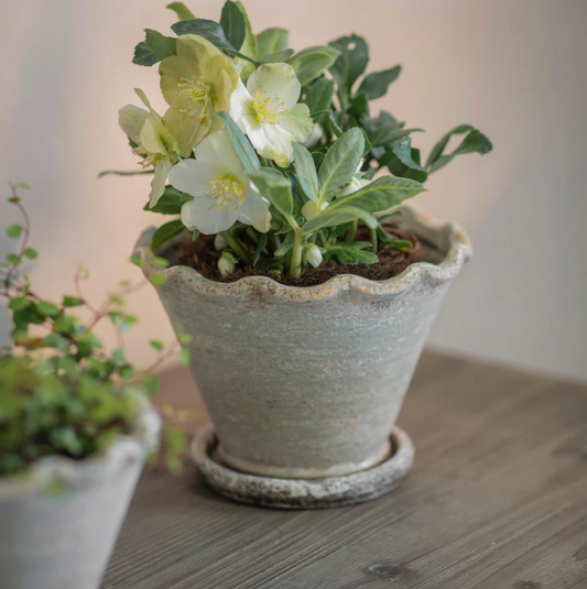 Carden Planter - Large
