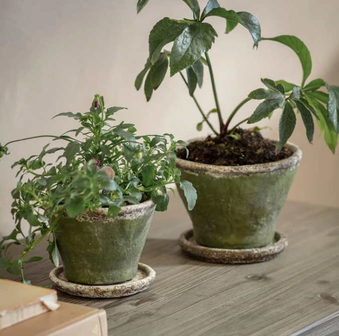 Stanmer Planter - Small