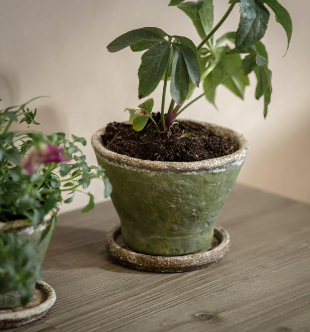 Stanmer Planter - Small