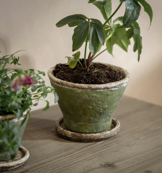 Stanmer Planter - Small