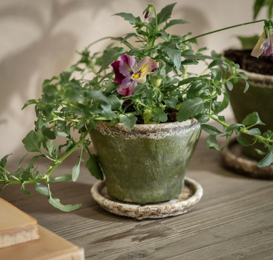 Stanmer Planter - Large