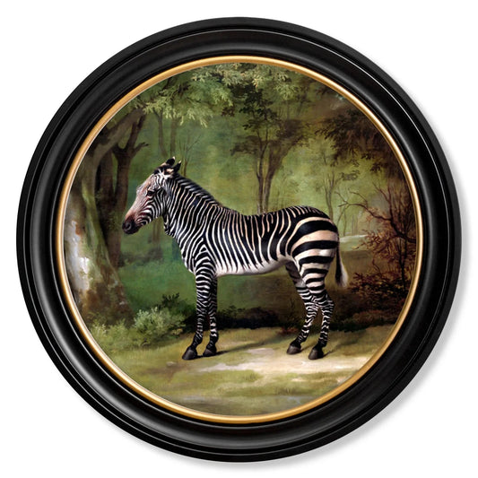 George Stubbs's Zebra – Round Framed Print (96 x 96cm)