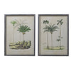Set of 2 Framed Palm Tree Prints- STOCK DUE END OF FEB