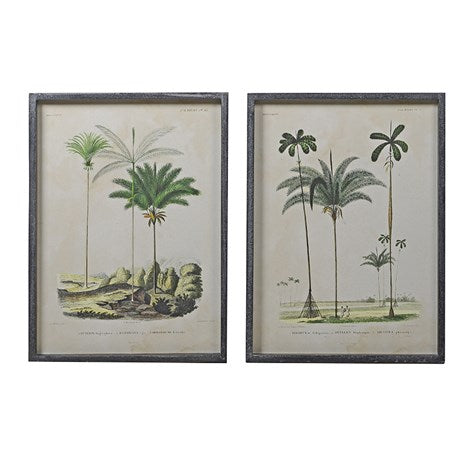 Set of 2 Framed Palm Tree Prints- STOCK DUE END OF FEB