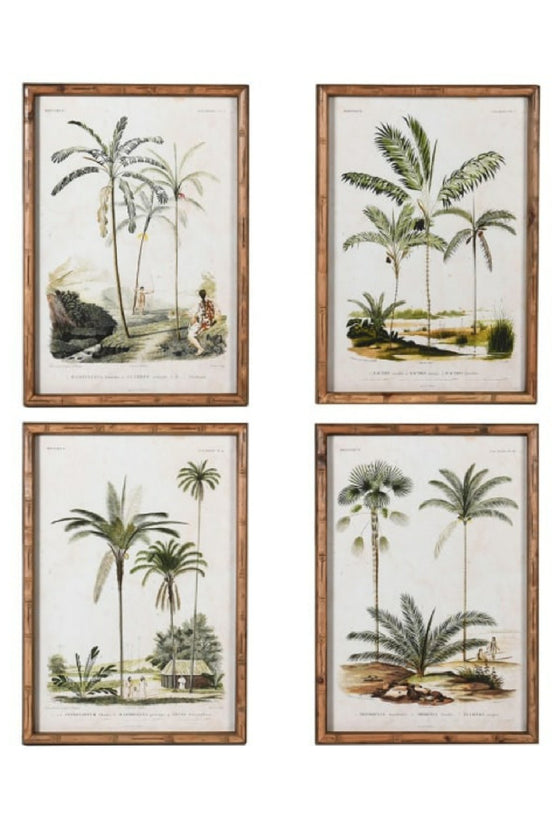 Set of Four Palm Tree Prints