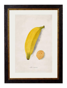 Framed Print - Banana