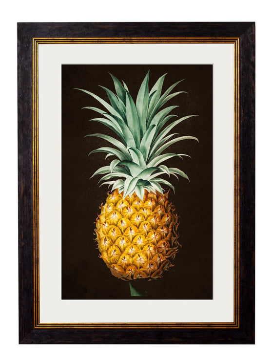 Framed Print - Pineapple Study